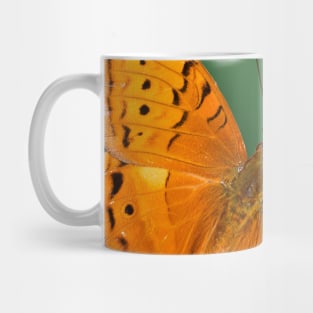 Beautiful orange butterfly on green pattern background Mug